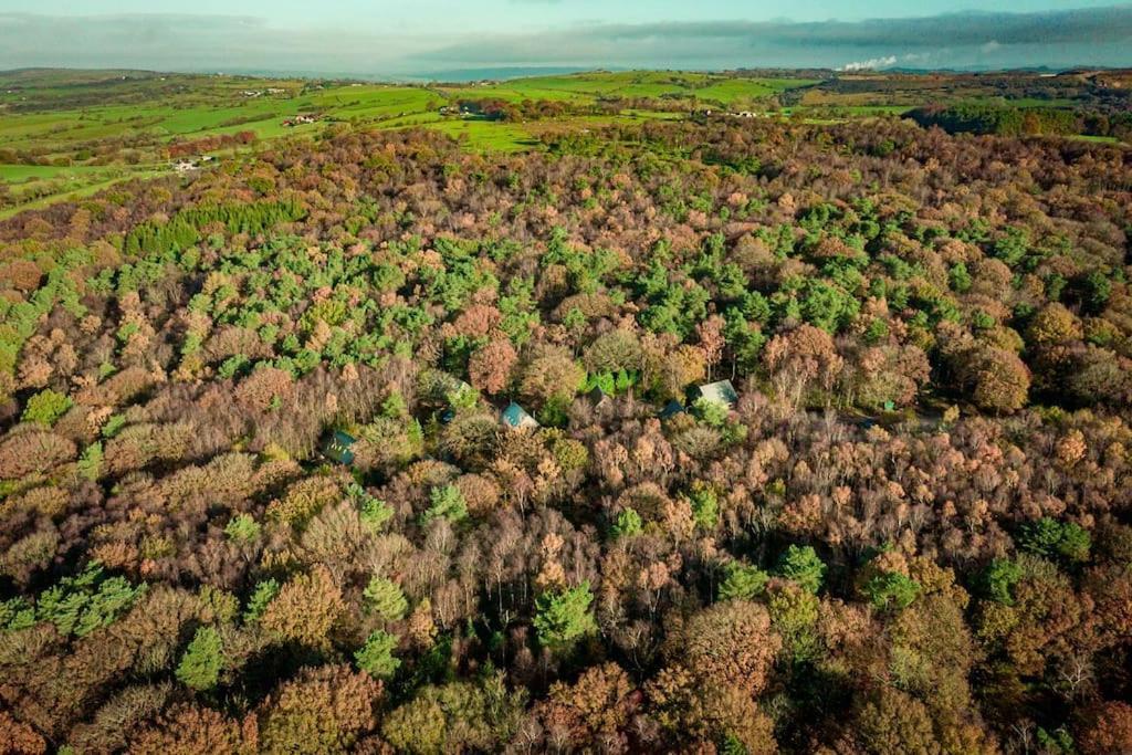 Padley; Woodland Lodge With Hot Tub For 2-4 In The Staffordshire Moorlands Oakamoor Dış mekan fotoğraf