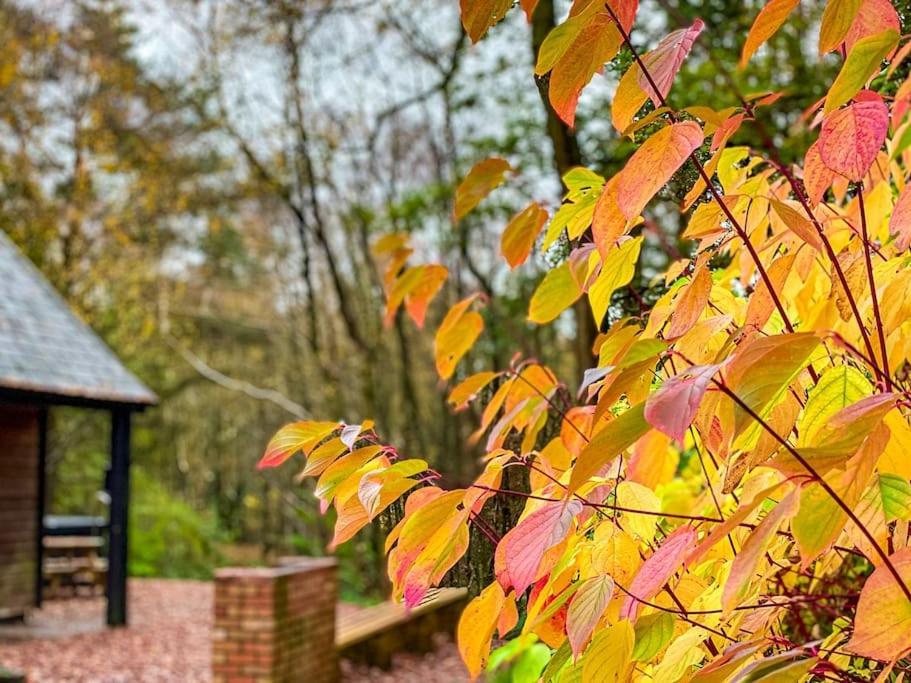 Padley; Woodland Lodge With Hot Tub For 2-4 In The Staffordshire Moorlands Oakamoor Dış mekan fotoğraf