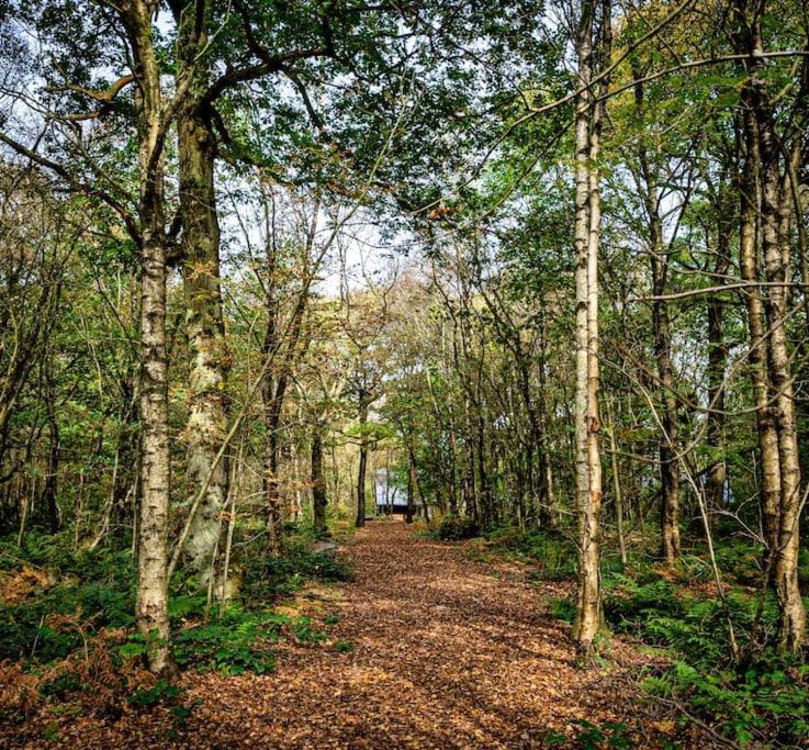 Padley; Woodland Lodge With Hot Tub For 2-4 In The Staffordshire Moorlands Oakamoor Dış mekan fotoğraf