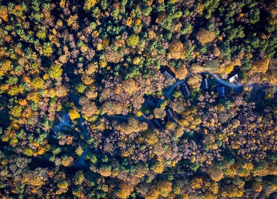 Padley; Woodland Lodge With Hot Tub For 2-4 In The Staffordshire Moorlands Oakamoor Dış mekan fotoğraf